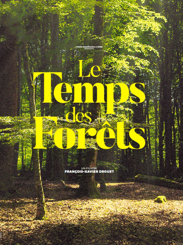 Le temps des forêts