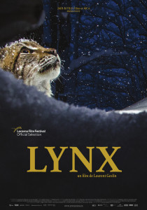 Lynx