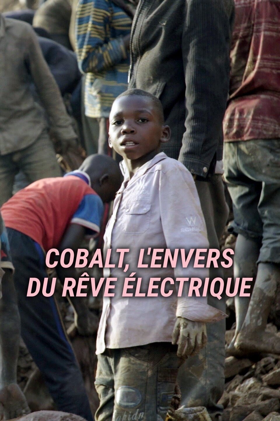 Cobalt, l’envers du rêve électrique