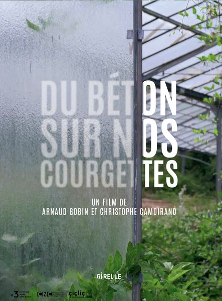 Du béton sur nos courgettes