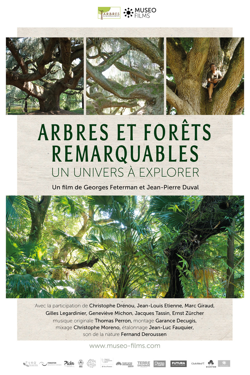 Arbres et forêts remarquables, un univers à explorer