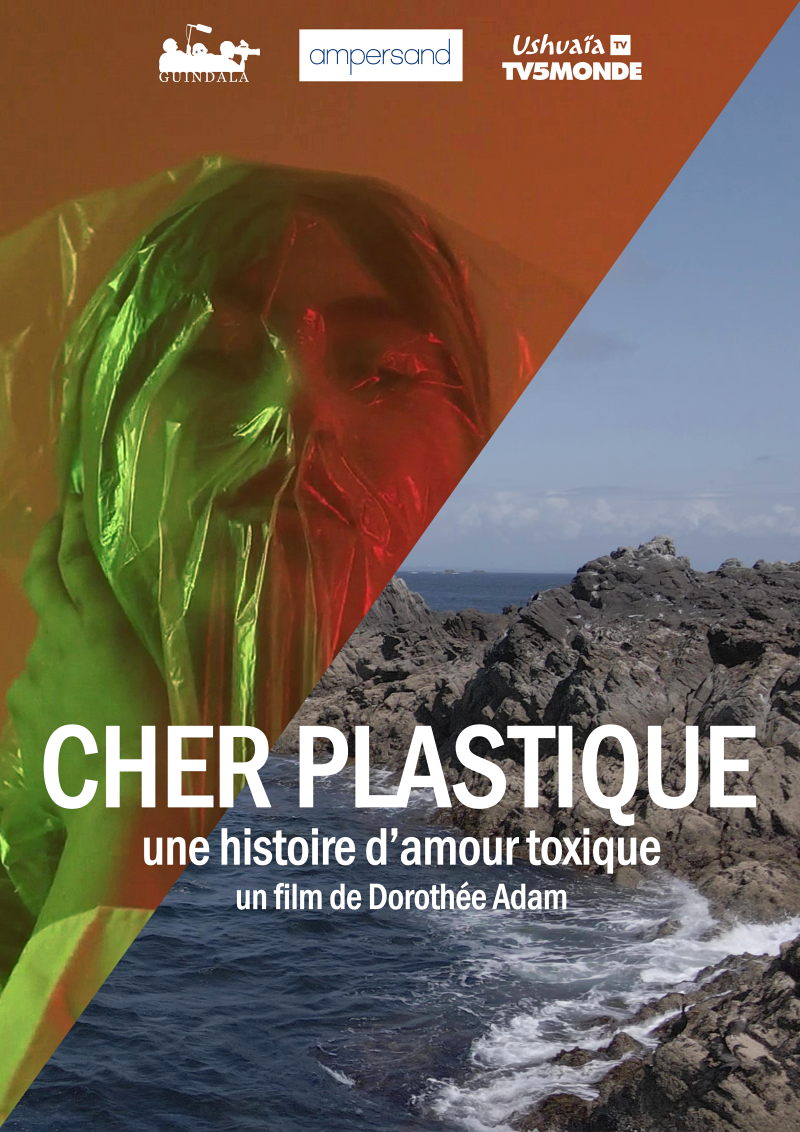 Cher plastique, une histoire d&rsquo;amour toxique