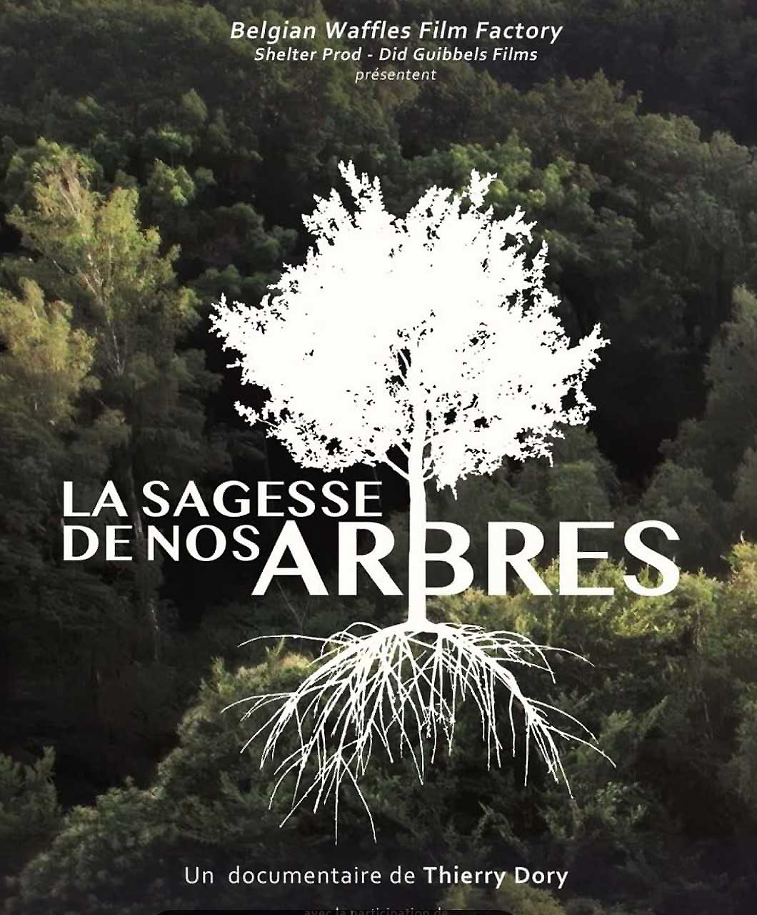 La sagesse de nos arbres