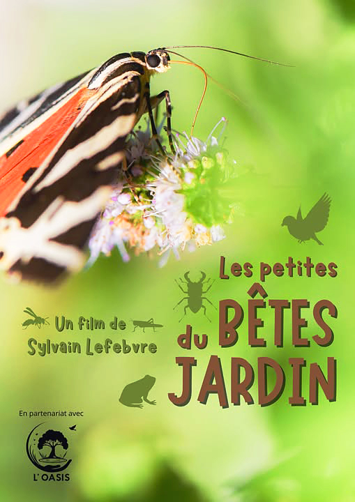 Les petites bêtes du jardin