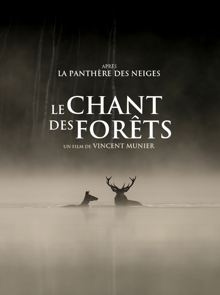 Le Chant des forêts